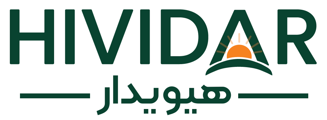 فروشگاه اینترنتی هیویدار